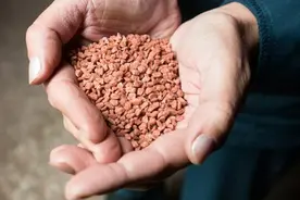 俄媒：白俄驻华大使认为白俄近期能够解决物流困境，以向中国供应往年数量钾肥图片