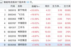 “全国统一大市场”引爆物流板块，新宁物流、飞力达20CM涨停，还涨吗？图片