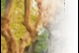 世界以痛吻我，要我报之以歌图片