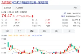九安医疗再次涨停，一个季度赚了过去十年总和的15倍图片