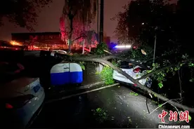 重庆多地遭遇狂风暴雨袭击 局地风力达11级图片
