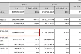 业绩大增的健帆生物为何股价遭腰斩？知名基金经理刘格菘被套图片