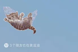 6步实现云养宠！微信农场上线，曾被申请注册商标，网友：微信逐渐QQ化图片