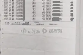 “套贷转贷”法定无效 郑州一市民贷款借给朋友 赔了利息图片