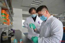 全球首个牙囊干细胞治疗牙周病临床研究在四川这家医院正式启动图片