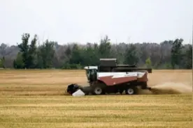 侠客岛解局：俄乌冲突，世界缺粮图片