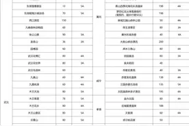 一卡玩转80家景点，“刷脸”畅游武汉城市圈图片