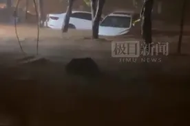 13级罕见大风夜袭四川安岳：“5条回家路，都被倒伏的树木挡了去路”图片