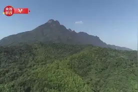 时政新闻眼丨从习近平五指山之行，看“两山理论”生动实践图片