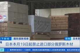 日本将禁止进口部分俄罗斯木材！业内人士：每月或将有1.7万栋新建住宅受影响→图片