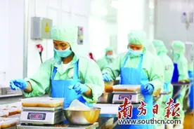 向空向海！吴川“百亿园区”蹄疾步稳图片