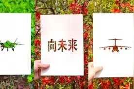 创意摄影丨春天，和战机在花海里畅游图片