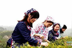 万亩茶园 充满“硒”望图片