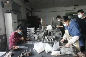 山东微山县：精准解难题 助企勇攀登图片