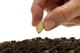 原材料价格持续上涨，农药制造企业的春天来了图片