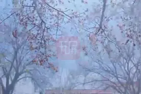 白露花开沁人心扉，保山学院再迎美景图片