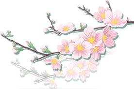 杜国楹：颠覆你的茶图片