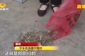 成千上万只苍蝇围攻？长沙多户居民吐槽：饭里、水里都是……图片