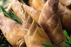 它是阳春三月的“素食第一品”，清热通便又滋阴，错过又等一年图片