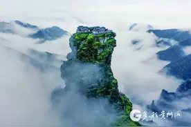 用心呵护，“生态孤岛”梵净山注定不甘平凡图片