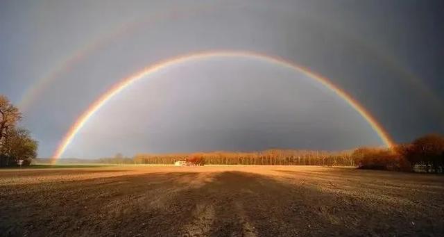 黑色情人节，黑得五彩斑斓