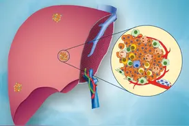 新刊上线丨《Engineering》2022年第3期图片