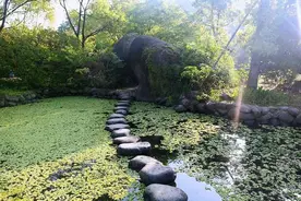 老板娘的将计就计（小小说）图片