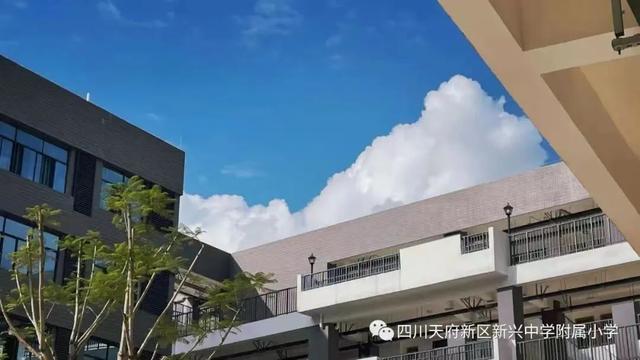天府新区这些学校正在招聘
