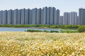 临沂公积金贷款政策放松 楼盘趁热推特惠房吸客图片