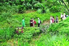 守护好一江碧水两岸青山图片