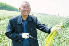 27万亩！“蒜乡”飘蒜香，中牟蒜农采摘忙图片