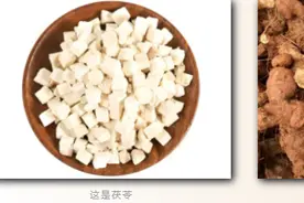 广东人喜爱的祛湿良品：土茯苓图片