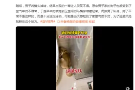 女子教孩子写作业狗狗吓得躲在角落图片