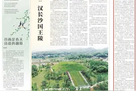 湖南日报｜稻魂记图片