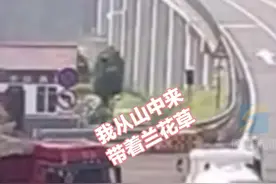 货车高速起火拼命驶出隧道 巧遇洒水车“哼小曲”路过图片