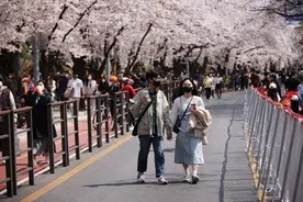 集体减龄：韩国拟统一年龄计算方式 以后都按周岁算 South Korea's population may become one year 'younger' as its president-elect plans to do away with the concept of 'Korean age'图片