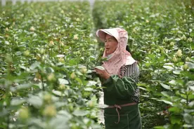 最近热传的“全国统一大市场”，到底是啥？图片