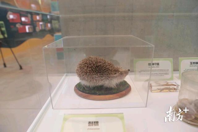 深圳机械展参观