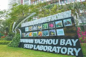 习近平总书记在海南省崖州湾种子实验室考察回访记图片