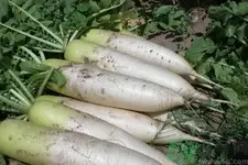 白萝卜怎么吃出美味来？宅家抗疫美食这样做图片