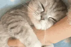 给你一个睡懒觉的理由：周末多睡会儿降低抑郁风险图片