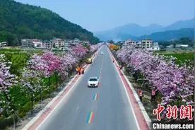 广西壮美公路繁花似锦美如画图片