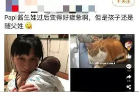 空想女拳主义者，妄想建立一个完全是女性的国度，污蔑正常结婚生子的女性为“驴子”图片