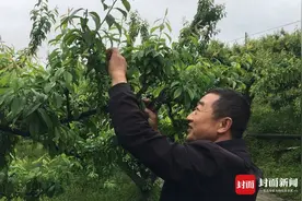 四川古蔺叫了70来年的天堂村 如今村民生活胜似“天堂”丨记者蹲点日记图片