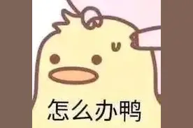 蔬菜冷冻会营养流失？亚硝酸盐会超标？我们专门做了试验，还有冷冻囤菜秘笈｜消保委亲测图片