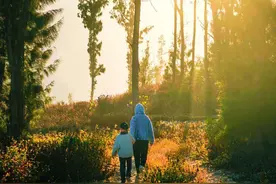 每天问孩子四句话，改变孩子一生图片