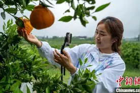 老挝媳妇小雅在四川：融入“川味”生活，短视频为乡村“带货”图片