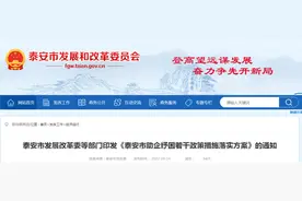 泰安助企纾困60条措施发布！涉及工业、服务业、餐饮零售等行业图片