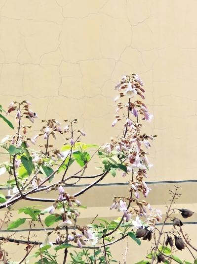 2025年12月 第2页