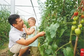 大开眼界的果蔬新种与它们背后的“导演”图片